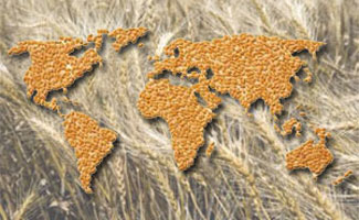 аграрный союз украины экспертный совет аналитический центр цены зерно укаб