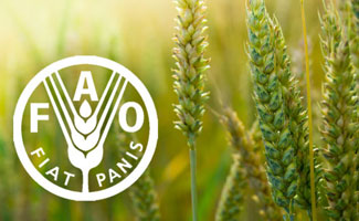 FAO фітосанітарні аспекти захист рослин карантин основна мета даного посібника