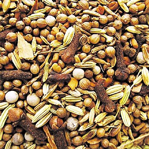 УКАБ просить не допустити зупинення виробництва насіння в Україні