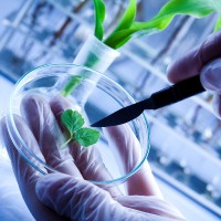 6606 засоби захисту рослин пестициди