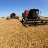 Украинские аграрии зерно урожай АПК