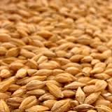 Государственная зерновая корпорация закупки зерна