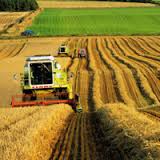 АМКУ КипрT.S.L. Finance сделка сельхозпредприятия Украина