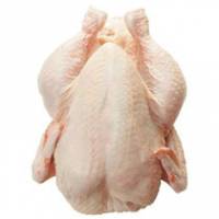 Poultry meat export 