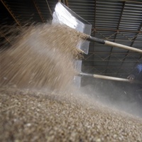 экспорт зерновые элеваторы зерновая логистика АПК зерно 