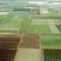 Украина ранние зерновые посевная 