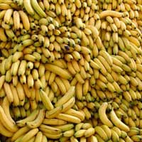 бананы 