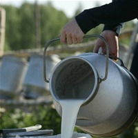Закупівельні ціни на молоко в Україні в деяких регіонах  знизились до 3,70 грн./кг