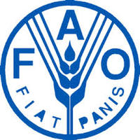 В Украине могут открыть офис ФАО
