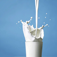  производство молока молоко животноводство 