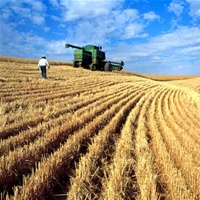 Господдержка аграрного сектора в Украине очень низкая — эксперт
