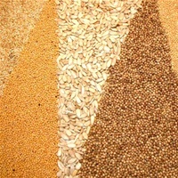 Оперативна інформація Мінагрополітики: ситуація на ринку зерна
