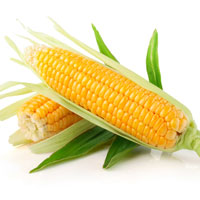 рынок зерна цена на кукурузу
