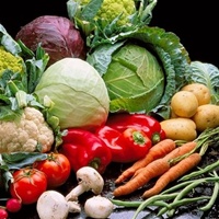 Россия запретила ввоз овощей и фруктов из Украины в ручной клади  