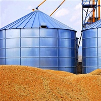 Мощность Николаевского портового элеватора увеличат до 1,5 млн т зерновых в год