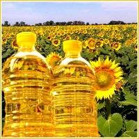 Украина экспортирует 3,7 млн тонн подсолнечного масла — прогноз USDA 