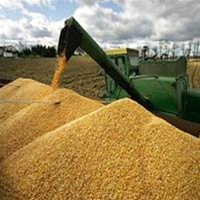 Украина уже собрала более 35 млн тонн зерна