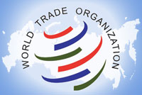 Минэкономразвития Украины опровергло сообщения о жалобе в ВТО на Россию