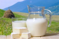 Украинская молочка попадет на рынок ЕС уже в феврале - Дыкун