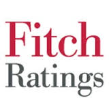 Fitch прекращает рейтинговать Мрию
