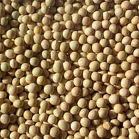 UCAB forecasts increasing of gross harvest of soybean by 40% and exports – by 51%