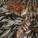 Импорт рыбы в Украину сократится на 11,4% — Минэкономразвития  