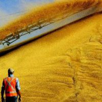 Олексій Павленко: Україна виконала експортну частину китайського зернового контракту