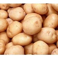 Які перспективи розвитку чекають на ринок картоплі у 2015 році?