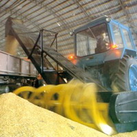 Минэкономразвития повысило прогноз экспорта зерна из Украины 