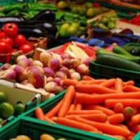 Израиль и Канада инвестируют в выращивание овощей и фруктов в Украине 