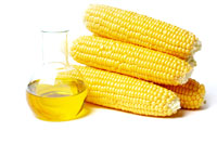40% валюты аграриям приносит кукуруза и подсолнечное масло