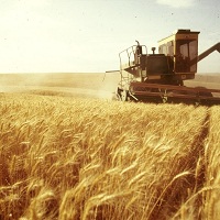 Украина экспортирует 33 млн т зерновых — Минагропрод