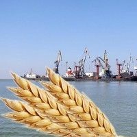 Морские порты Украины перевалили более 13 млн т зерновых