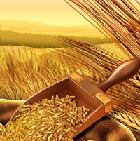 Украина может утроить производство сельхозпродукции — Козаченко