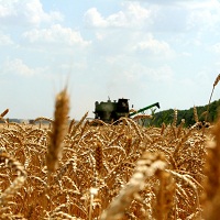 Украина и Бельгия планируют новые аграрные проекты