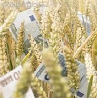 Prevention of fraud in agricultural companies