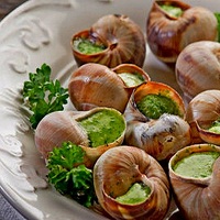 Snails are profitable export product