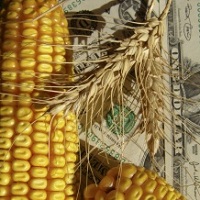 The prices for crops are growing