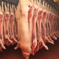 Експорт свинини впав у 4,5 рази 