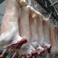 Export of mutton and goats’ meat has increased fourfold