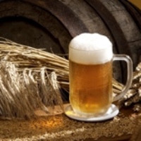 Ukrainian malt exports increased by 2.8 times