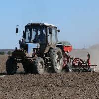 sowing 2017