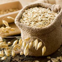 oats export