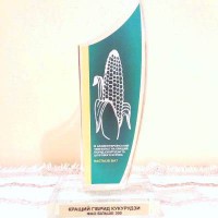 чемпіонат гібридів кукурудзи та цукрових буряків