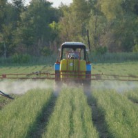 Агрохолдинги отказываются от наращивания земельных банков 