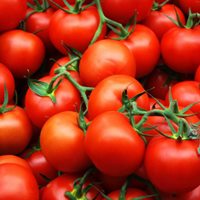 tomato quota UCAB