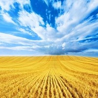 Чи вийдуть українські фермери на міжнародні ринки?