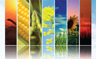 Найповніша інформація про агропромисловий комплекс України у новому випуску дослідження «Агропродовольчий спектр України - 2015»