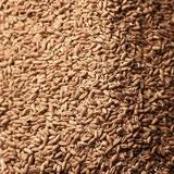 Ukraine exports grain forecast harvest 