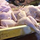 Ukraine's State veterinary service imports poultry  Hebei province China